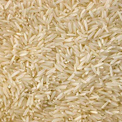 Katari Bhog Rice